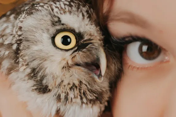 Casino MR Fortune Suporte